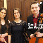 Das Ensemble der Woche: Trio Enandev