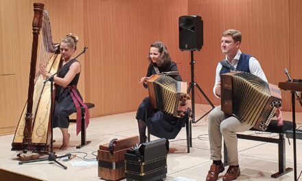 Steirische Harmonika Update: Ein Instrument bietet Fluch und Segen