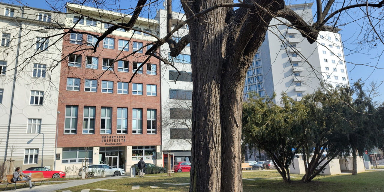 Practice meets Musicology. 