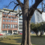 Practice meets Musicology. 