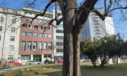 Practice meets Musicology. 